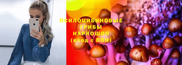 тгк Абдулино