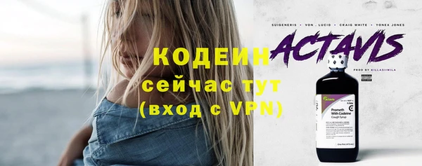 индика Приозерск