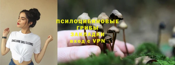 индика Приозерск