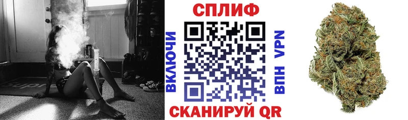 Конопля сатива  хочу   Дмитровск 